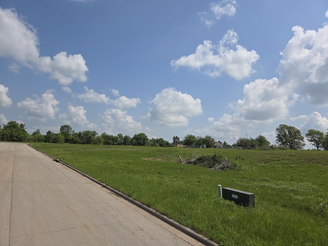 990 N Lindsey Ave Lot 17, Republic, MO 65738 - photo 4