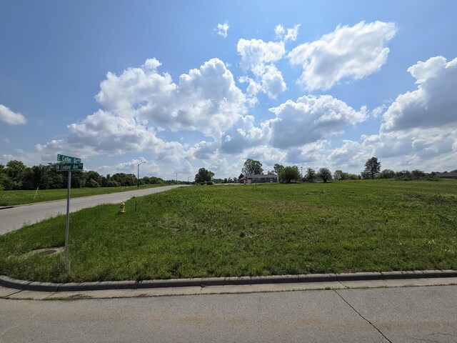 806 E Colter Dr Lot 18, Republic, MO 65738 - photo 3