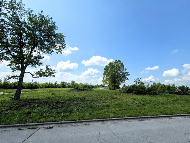 850 E Colter Dr Lot 20, Republic, MO 65738 - photo 4