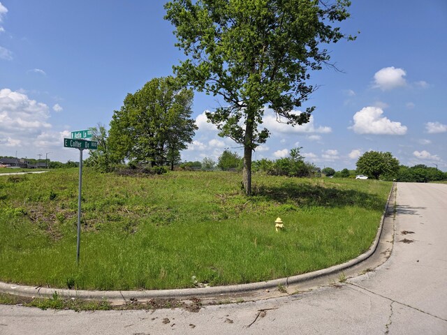 850 E Colter Dr Lot 20, Republic, MO 65738 - photo 3