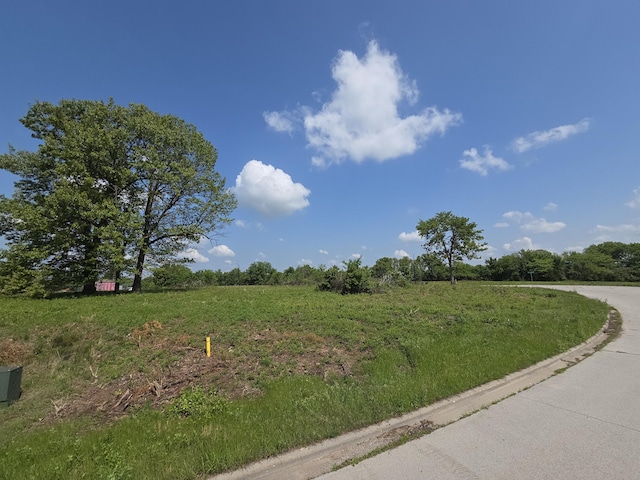 850 E Colter Dr Lot 20, Republic, MO 65738 - photo 2