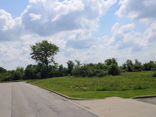 850 E Colter Dr Lot 20, Republic, MO 65738 - photo 5