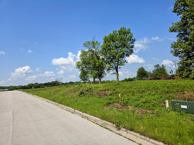 969 N Austin Ln Lot 21, Republic, MO 65738 - photo 5