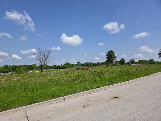969 N Austin Ln Lot 21, Republic, MO 65738 - photo 3