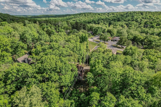 bird's eye view of a heavily wooded area