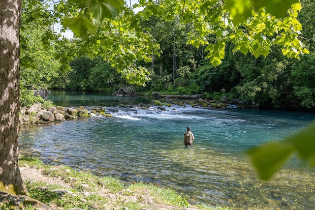 water view with a forest