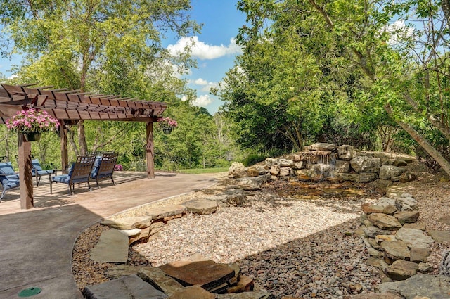 view of yard with a pergola and a patio