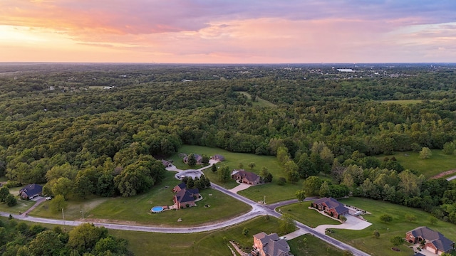 aerial view at dusk of a forest view