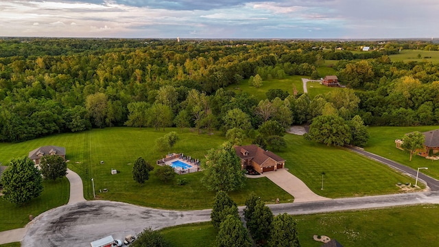 bird's eye view of a forest