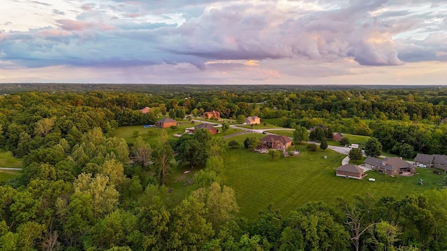 aerial view at dusk of a forest view