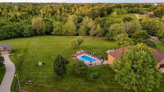 bird's eye view of a pool and a forest