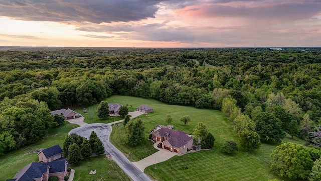 aerial view at dusk of a view of trees