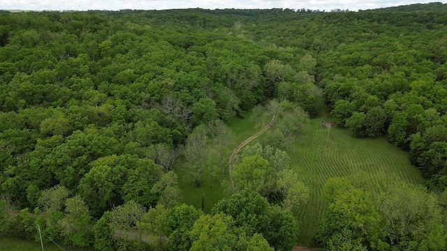 bird's eye view of a forest