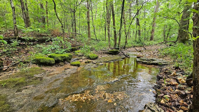 view of tree filled area