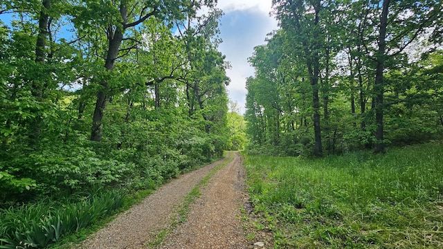 view of road with a forest view