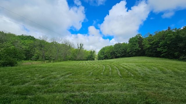 view of green lawn featuring a rural view and a wooded view