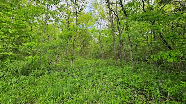 view of wooded area