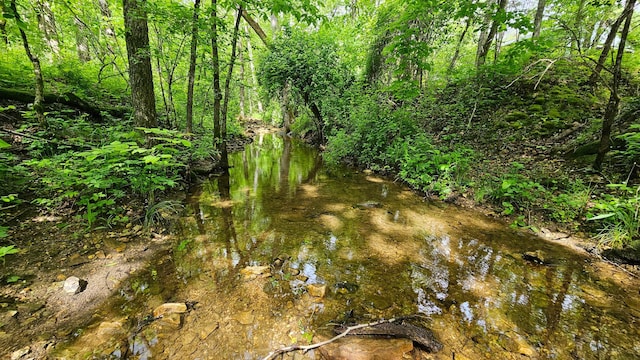 view of nature
