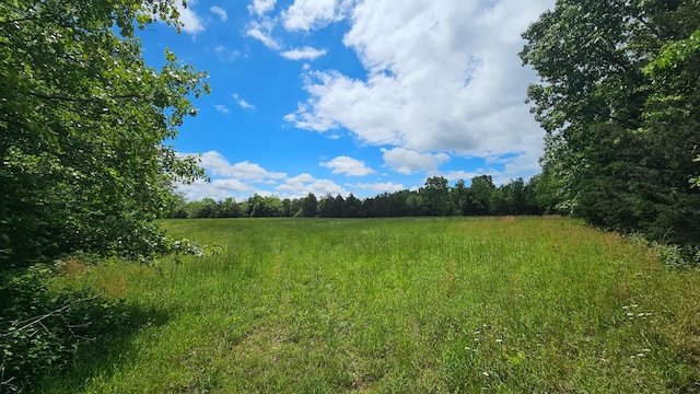 view of woods