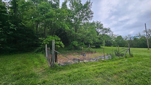 view of green lawn with a wooded view