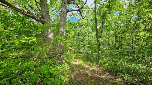 view of wooded area