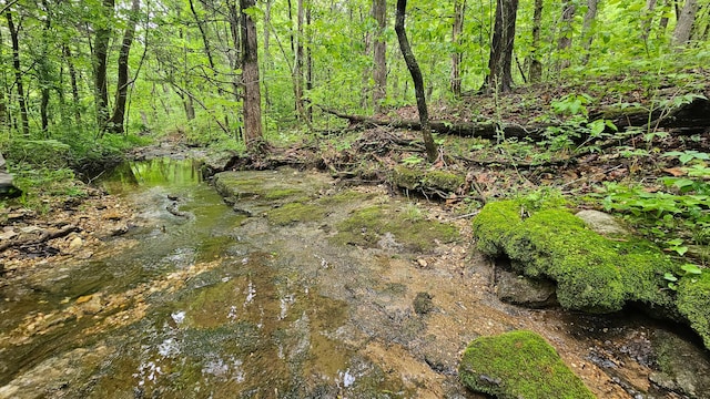 view of nature