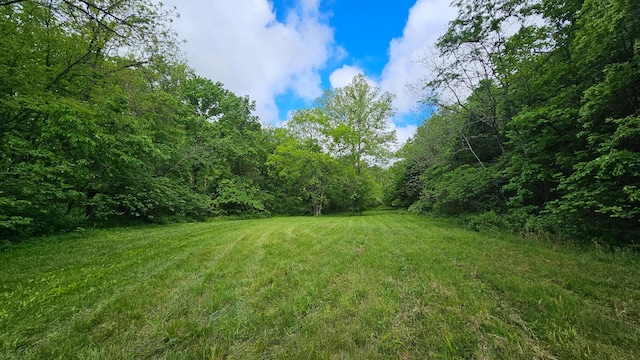 view of grassy yard with a wooded view