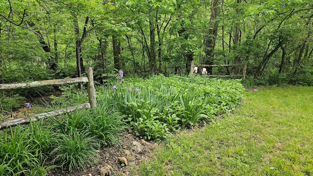 view of wooded area