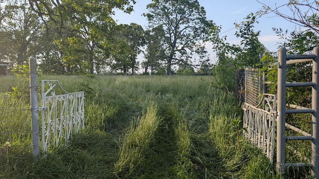 636 W Center St, Rogersville, MO 65742 - view of gate