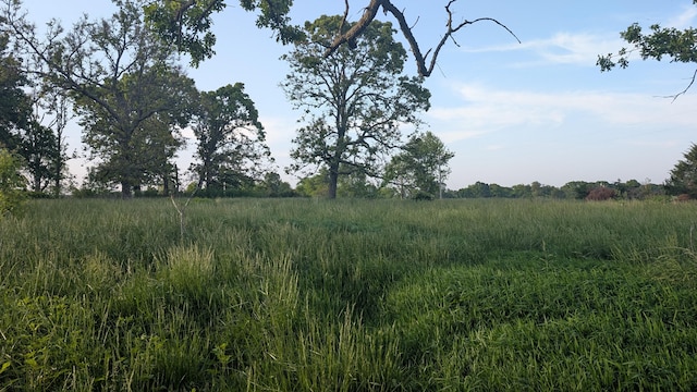 636 W Center St, Rogersville, MO 65742 - view of nature