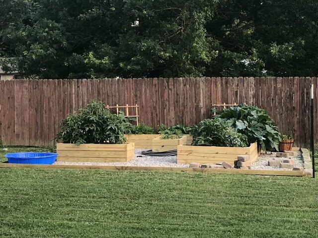 view of yard with a vegetable garden