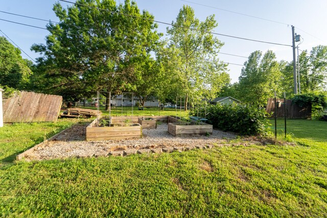 view of yard featuring a vegetable garden