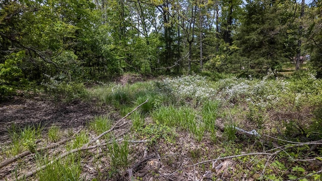 3740 County Road 2150, Pomona, MO 65789 - photo 8