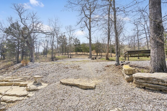 87 Piper Dr, Gainesville, MO 65655 - photo 38