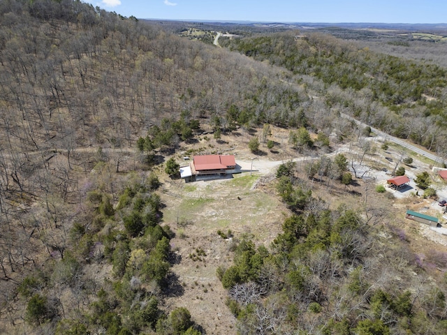 87 Piper Dr, Gainesville, MO 65655 - photo 41