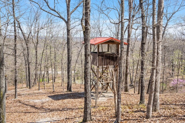 87 Piper Dr, Gainesville, MO 65655 - photo 21