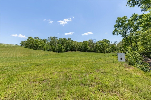 view of yard with a view of rural / pastoral area