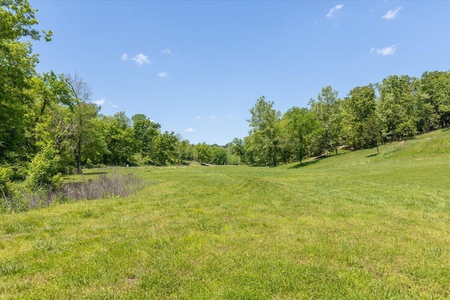 view of grassy yard featuring a forest view