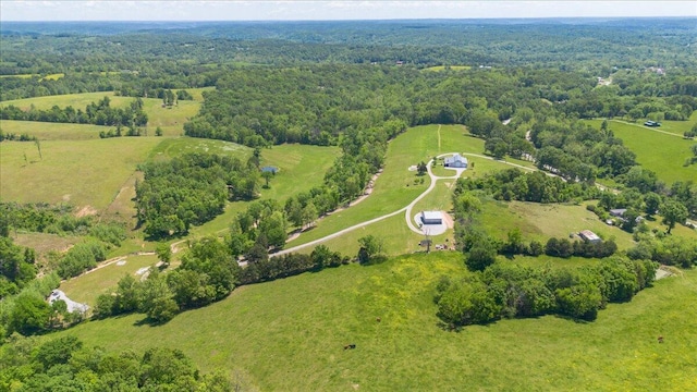 aerial view of a forest