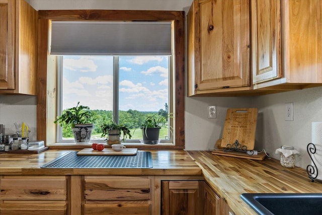 kitchen with wood counters