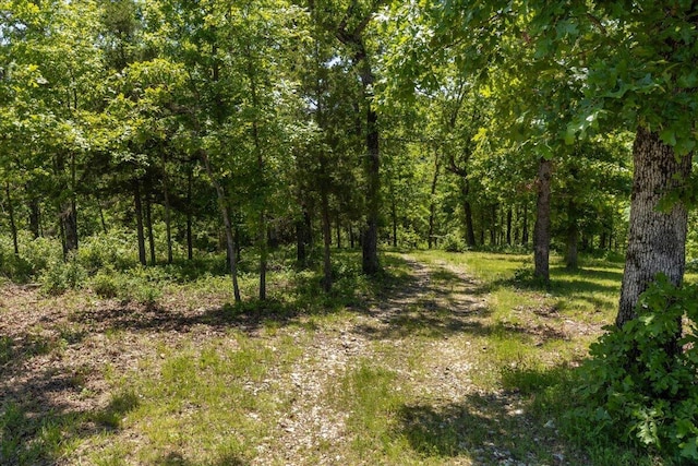 view of tree filled area