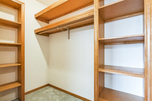 1888 S High Rdg, Nixa, MO 65714 - walk in closet with carpet flooring
