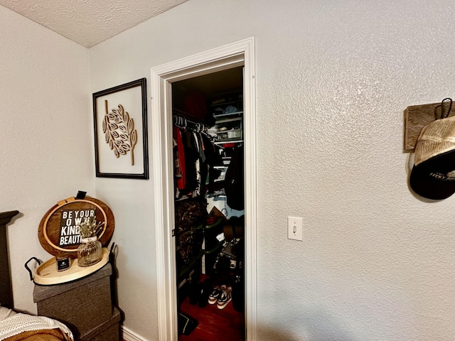 64 Deer Park Cir, Kimberling City, MO 65686 - interior space with a closet, a walk in closet, and a textured ceiling