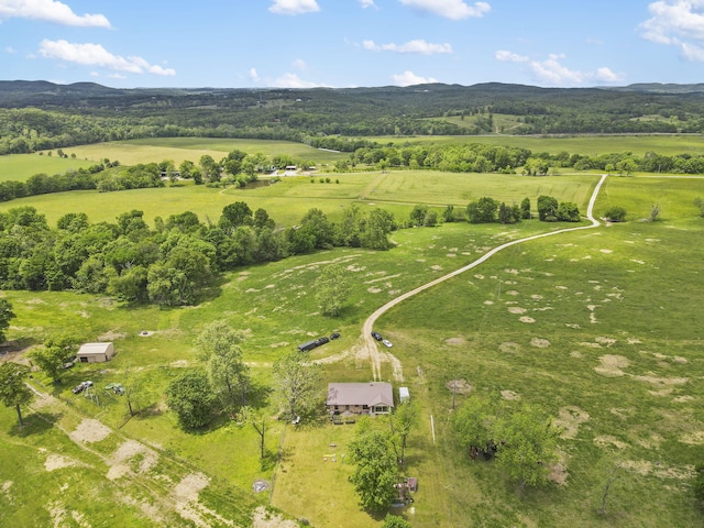 1065 Nicks Rd, Bradleyville, MO 65614 - view of property location featuring rural landscape and a mountain backdrop