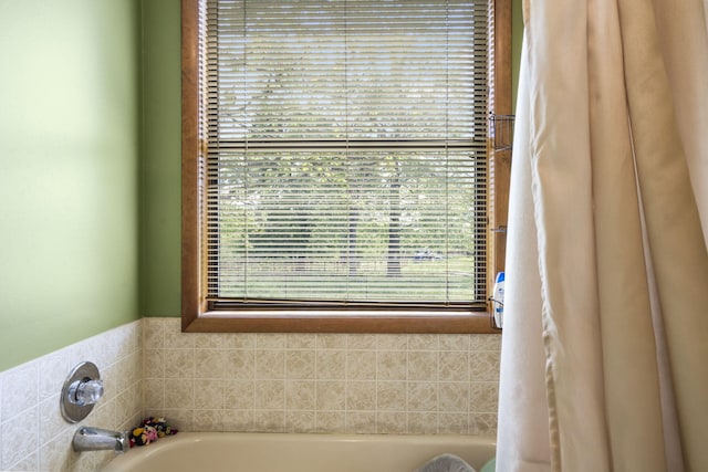 1065 Nicks Rd, Bradleyville, MO 65614 - full bathroom with a bath