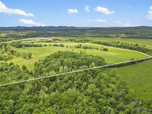 1065 Nicks Rd, Bradleyville, MO 65614 - overview of rural landscape with property boundaries highlighted, a mountain backdrop, and a forest