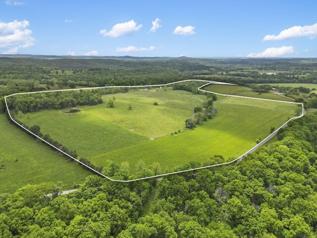 1065 Nicks Rd, Bradleyville, MO 65614 - view of property location featuring property parcel outlined and a heavily wooded area