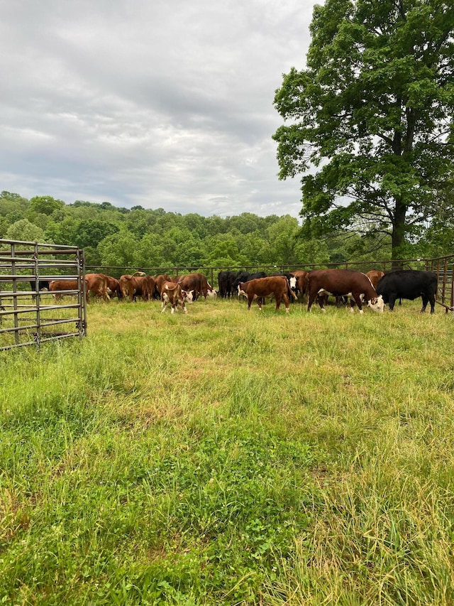 1065 Nicks Rd, Bradleyville, MO 65614 - view of yard featuring a view of countryside and fence