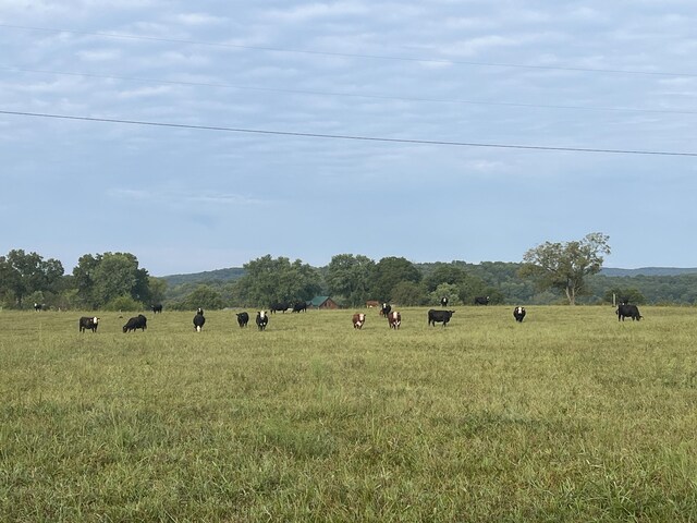1065 Nicks Rd, Bradleyville, MO 65614 - view of yard featuring a rural view