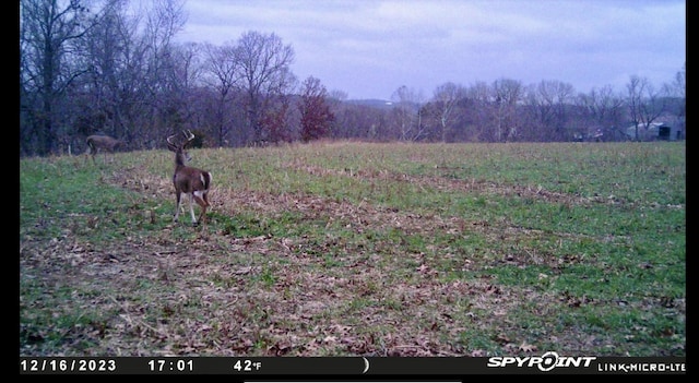 1065 Nicks Rd, Bradleyville, MO 65614 - view of yard with a view of rural / pastoral area and a forest view